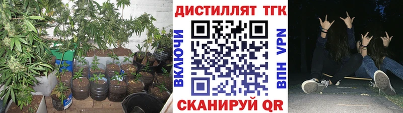 ТГК THC oil  Купить закладки  Братск 